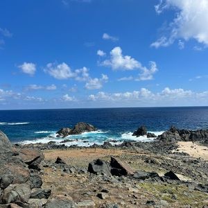 Meet your Posher, Halie